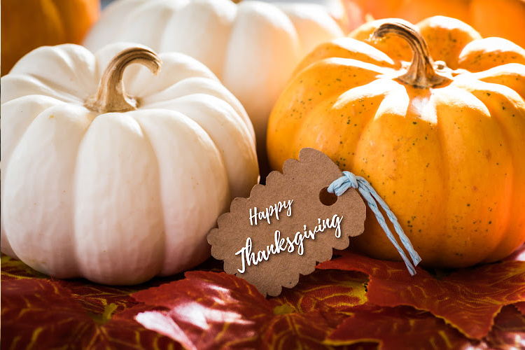 Thanksgiving pumpkins on table